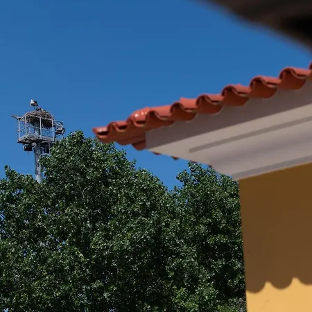 Casa de hóspedes Quinta Salinas - Puro Prazer Aveiro