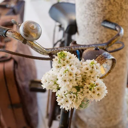 Quinta Salinas - Puro Prazer 4* Aveiro