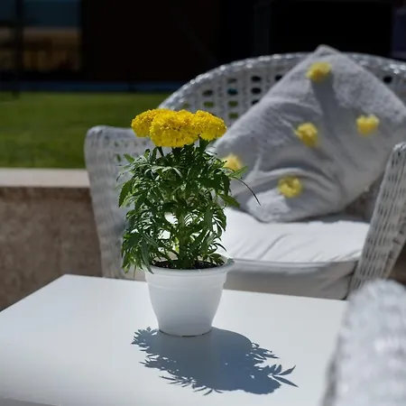 Quinta Salinas - Puro Prazer Maison d'hôtes Aveiro