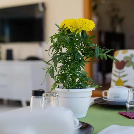 Quinta Salinas - Puro Prazer