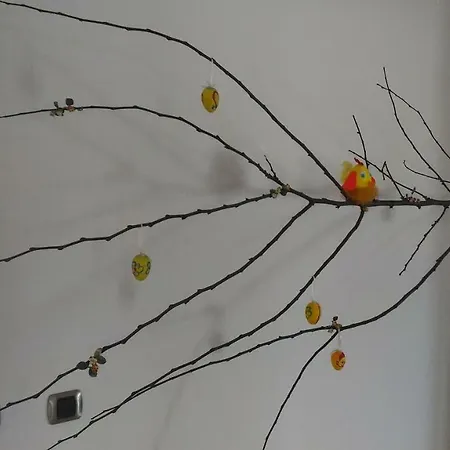 Quinta Salinas - Puro Prazer 4* Aveiro