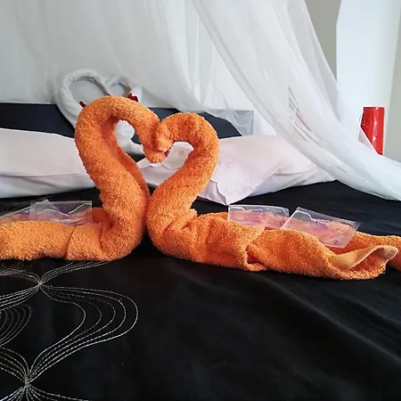 Quinta Salinas - Puro Prazer 4* Aveiro