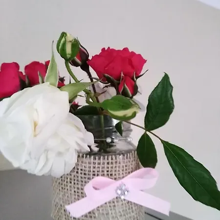 Quinta Salinas - Puro Prazer Gæstehus Aveiro