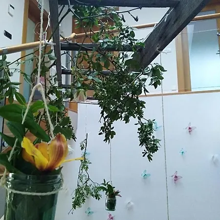 Quinta Salinas - Puro Prazer