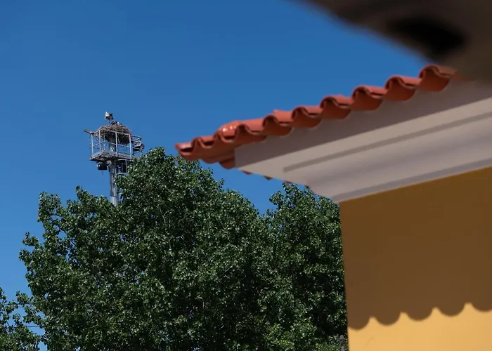 Casa de hóspedes Quinta Salinas - Puro Prazer Aveiro