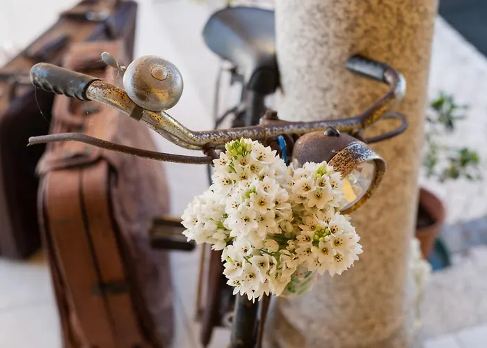 Quinta Salinas - Puro Prazer 4* أفيرو