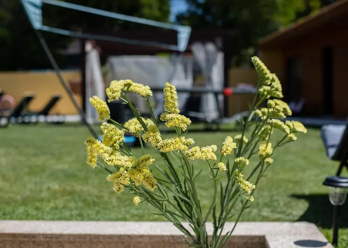 Quinta Salinas - Puro Prazer