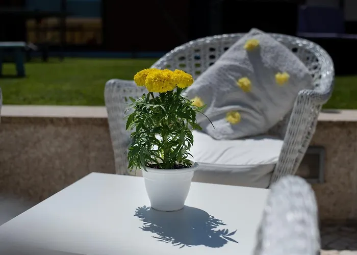 Quinta Salinas - Puro Prazer Casa de hóspedes Aveiro