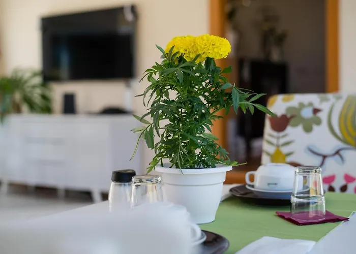 Quinta Salinas - Puro Prazer