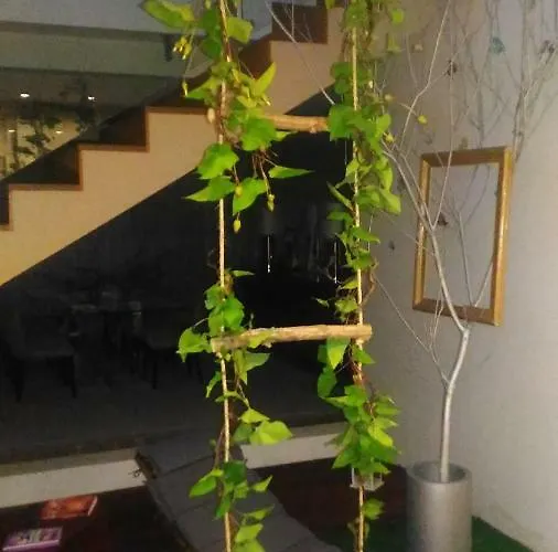 Quinta Salinas - Puro Prazer 4*