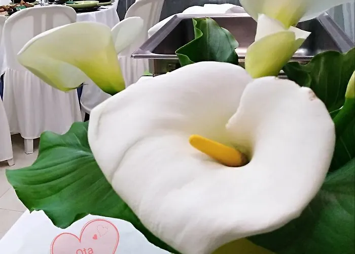 بيت ضيافة Quinta Salinas - Puro Prazer 4*