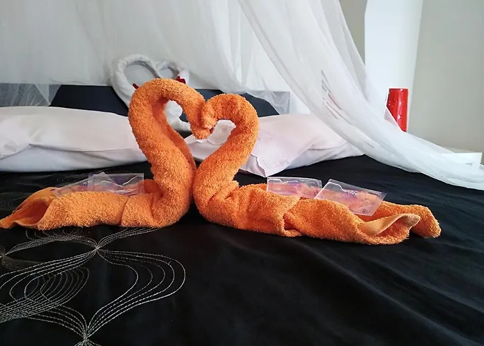 Quinta Salinas - Puro Prazer 4* Aveiro