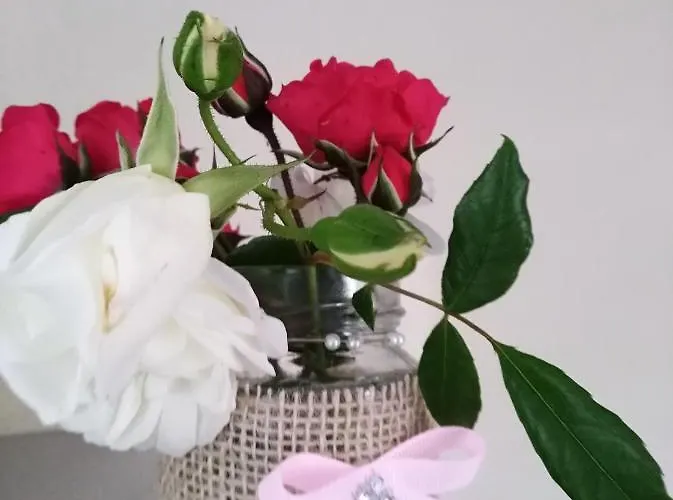 Quinta Salinas - Puro Prazer Casa de hóspedes Aveiro