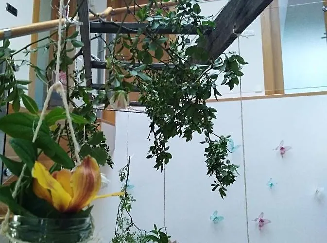 Quinta Salinas - Puro Prazer